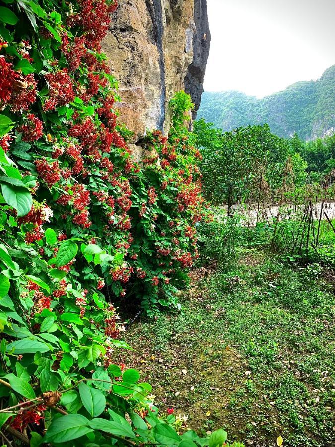 Trang An Valley Bungalow นิญบิ่ญ ภายนอก รูปภาพ